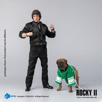 HIYA Exquisite Super Series 1/12 Scale 6 Inch Rocky II Rocky Action Figure