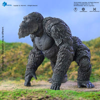 HIYA Exquisite Basic Series None Scale 6 Inch Godzilla x Kong The New Empire Godzilla kong Action Figure