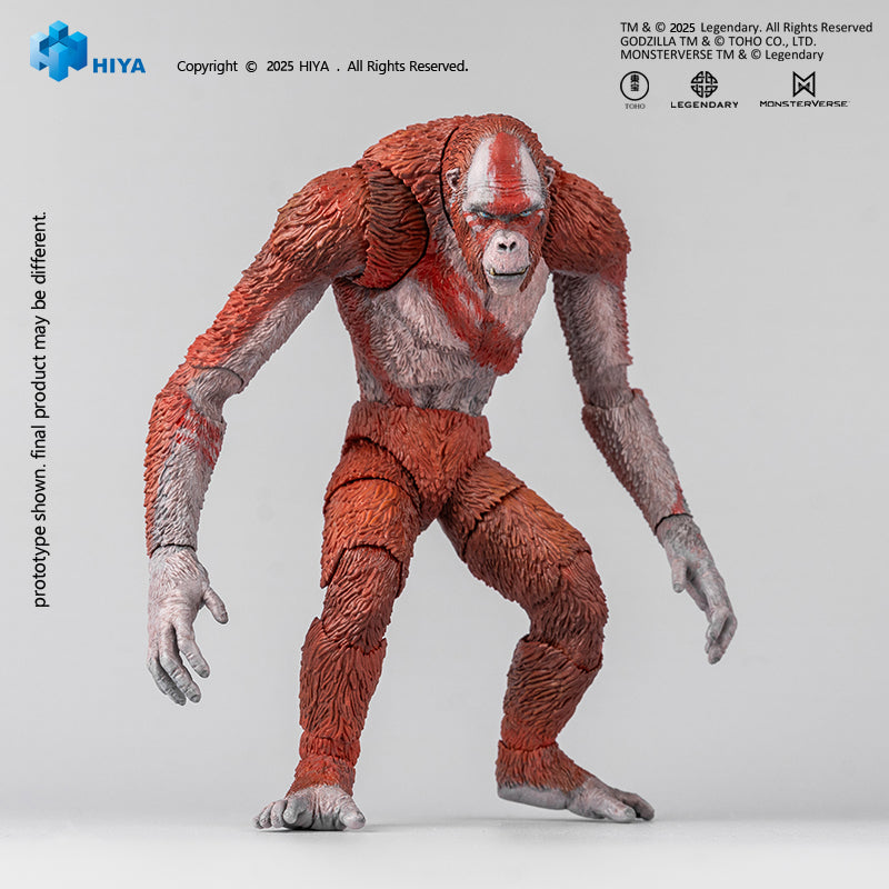 HIYA Exquisite Basic Series  None Scale 6 Inch Godzilla x Kong The New Empire Skar King Action Figure
