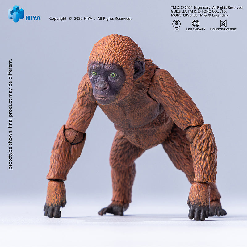 HIYA Exquisite Basic Series None Scale 14 Inch Godzilla x Kong The New