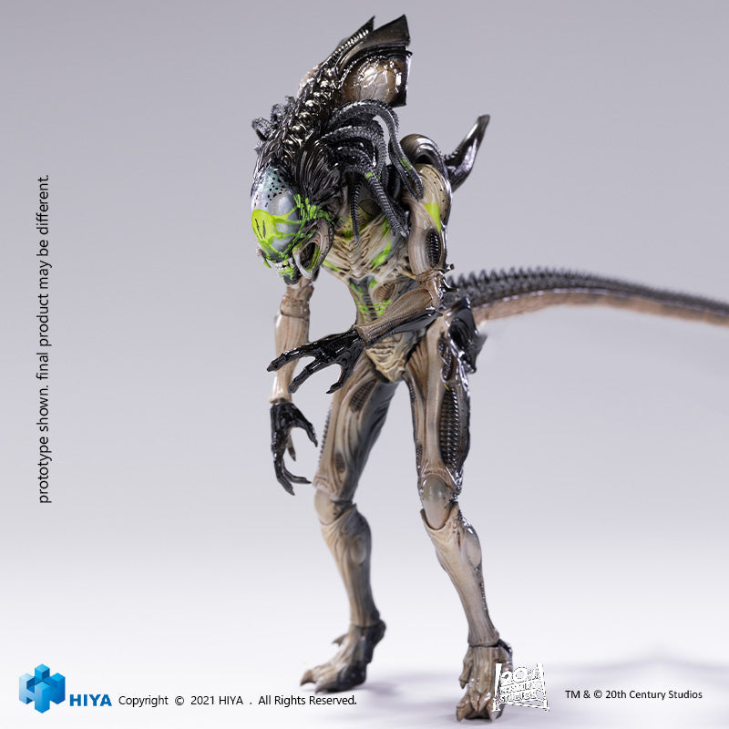 HIYA Exquisite Mini Series 1/18 Scale 6 Inch AVPR Battle Damage Predalien Action Figure