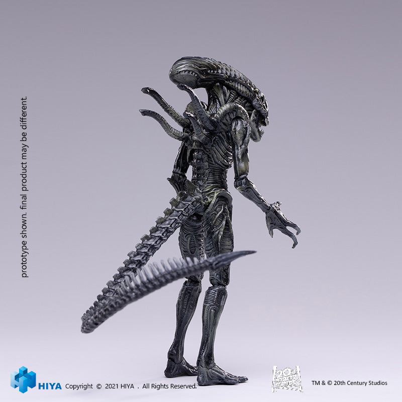 HIYA Exquisite Mini Series 1/18 Scale 5 Inch AVP R Xeno Warrior Action Figure