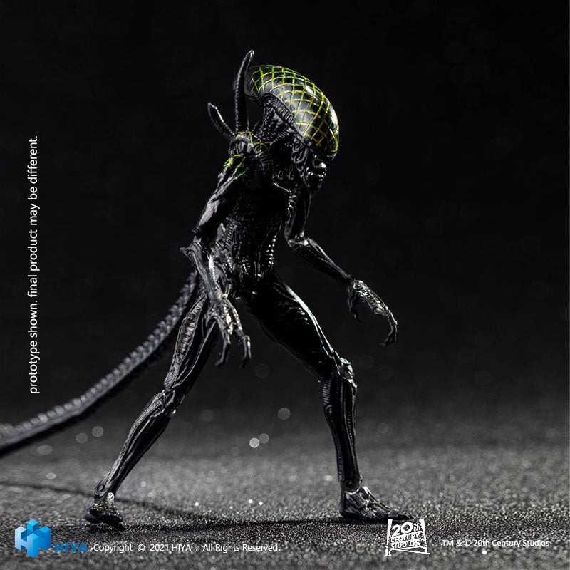 HIYA Exquisite Mini Series 1/18 Scale 5 Inch AVP Grid Alien Action Figure