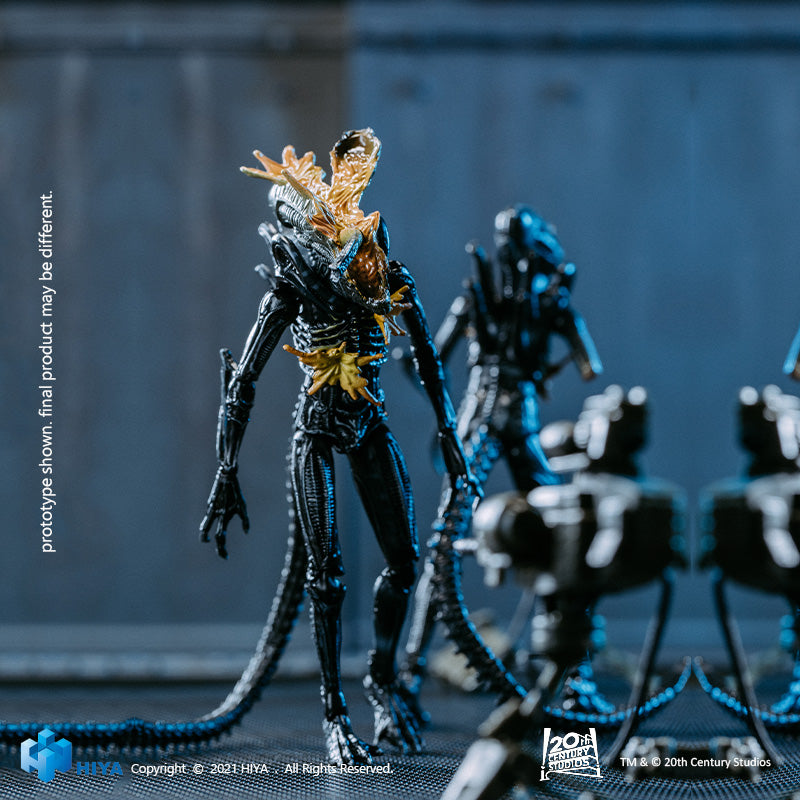 HIYA Exquisite Mini Series 1/18 Scale 5 Inch ALIENS Battle Damage Alien Warrior 2 Pack GameStop Exclusive Action Figure