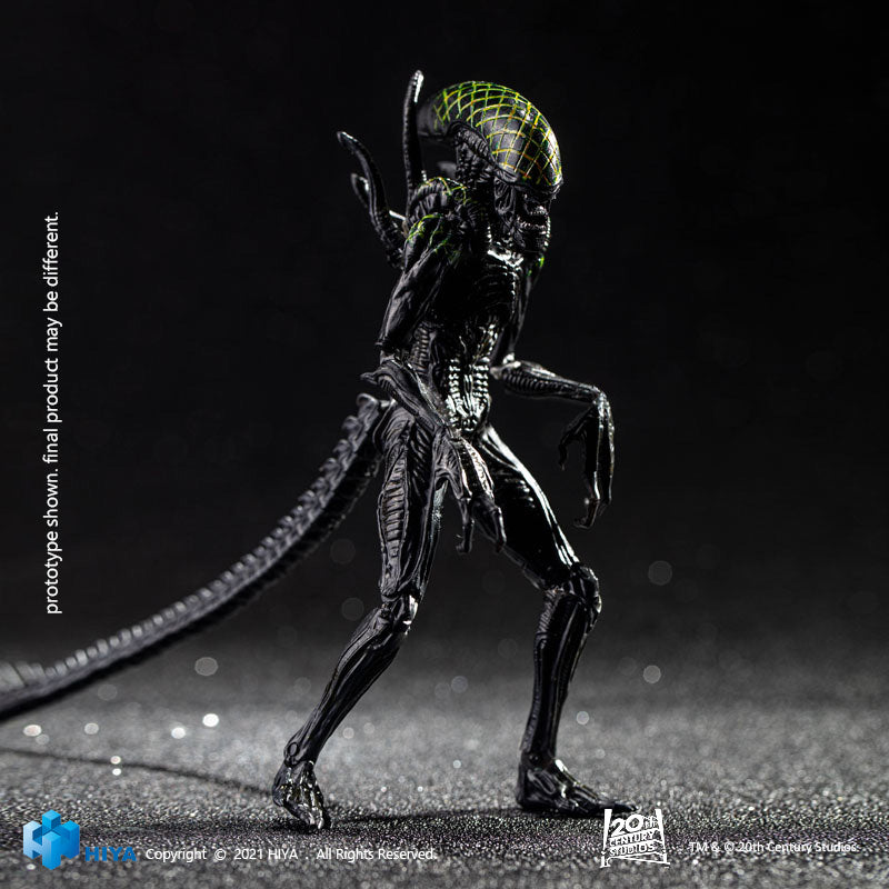 HIYA Exquisite Mini Series 1/18 Scale 5 Inch AVP Grid Alien Action Figure