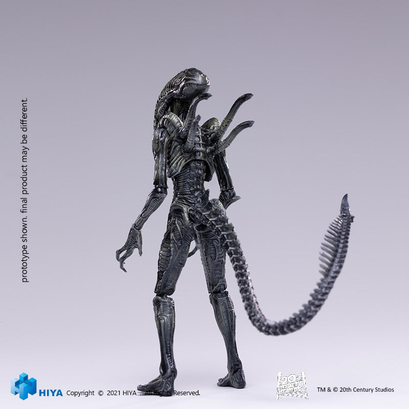 HIYA Exquisite Mini Series 1/18 Scale 5 Inch AVP R Xeno Warrior Action Figure