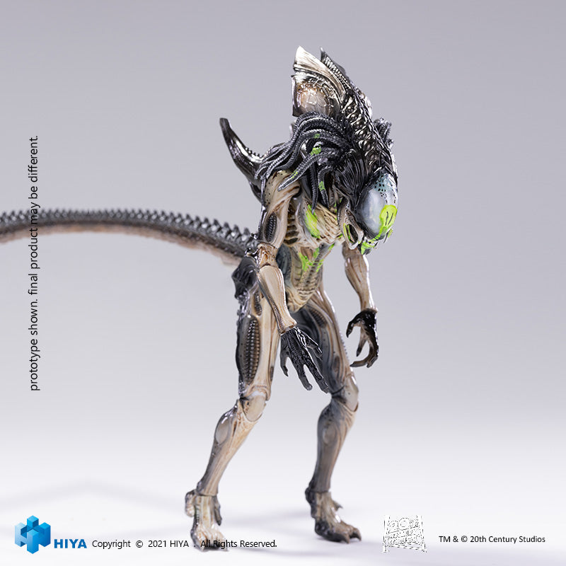 HIYA Exquisite Mini Series 1/18 Scale 6 Inch AVPR Battle Damage Predalien Action Figure