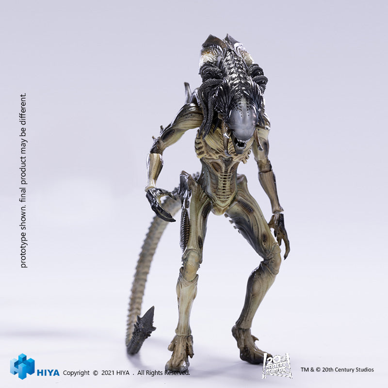 HIYA Exquisite Mini Series 1/18 Scale 6 Inch AVPR Predalien Action Figure