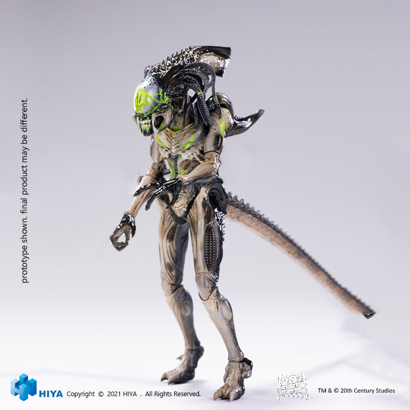 HIYA Exquisite Mini Series 1/18 Scale 6 Inch AVPR Battle Damage Predalien Action Figure