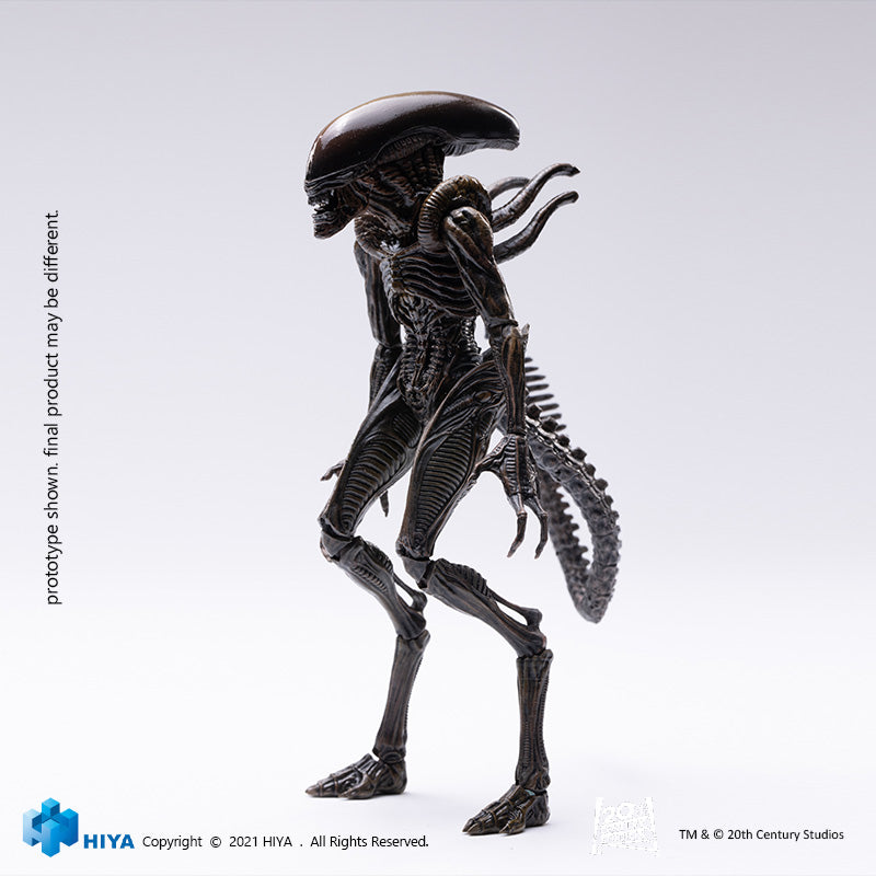 HIYA Exquisite Mini Series 1/18 Scale 5 Inch ALIEN RESSURECTION Lead Alien Warrior Action Figure