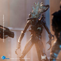 HIYA Exquisite Mini Series 1/18 Scale 5 Inch ALIENS Headshot Alien Warrior Action Figure