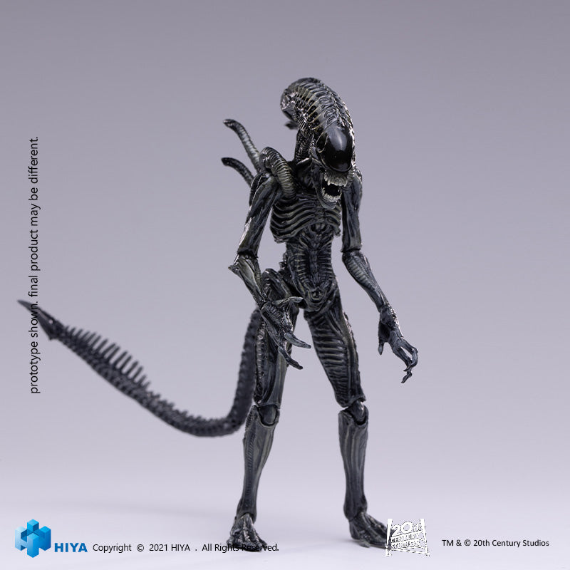HIYA Exquisite Mini Series 1/18 Scale 5 Inch AVP R Xeno Warrior Action Figure