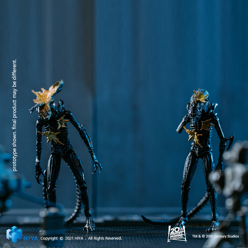 HIYA Exquisite Mini Series 1/18 Scale 5 Inch ALIENS Battle Damage Alien Warrior 2 Pack GameStop Exclusive Action Figure