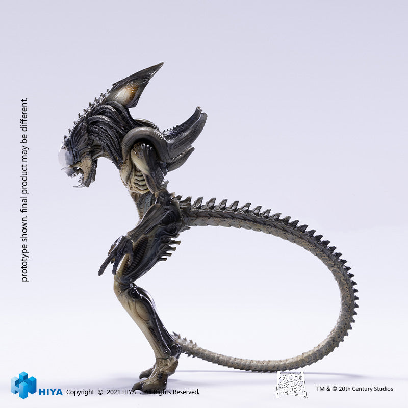 HIYA Exquisite Mini Series 1/18 Scale 6 Inch AVPR Predalien Action Figure