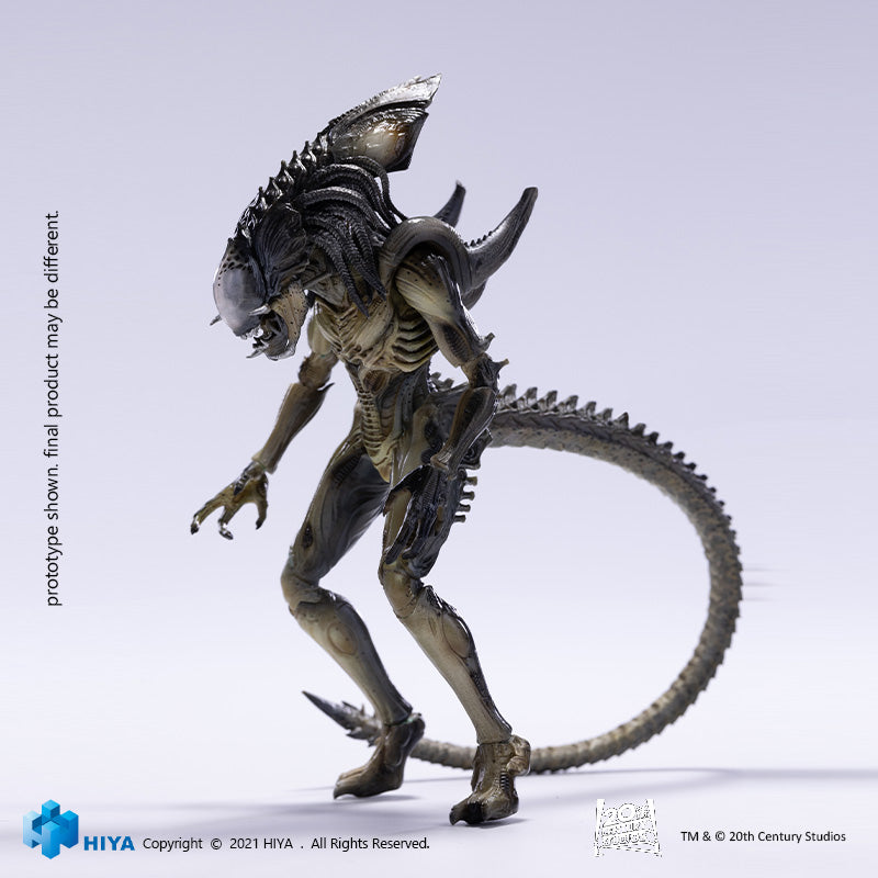 HIYA Exquisite Mini Series 1/18 Scale 6 Inch AVPR Predalien Action Figure