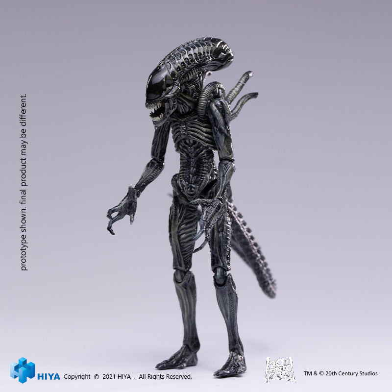 HIYA Exquisite Mini Series 1/18 Scale 5 Inch AVP R Xeno Warrior Action Figure