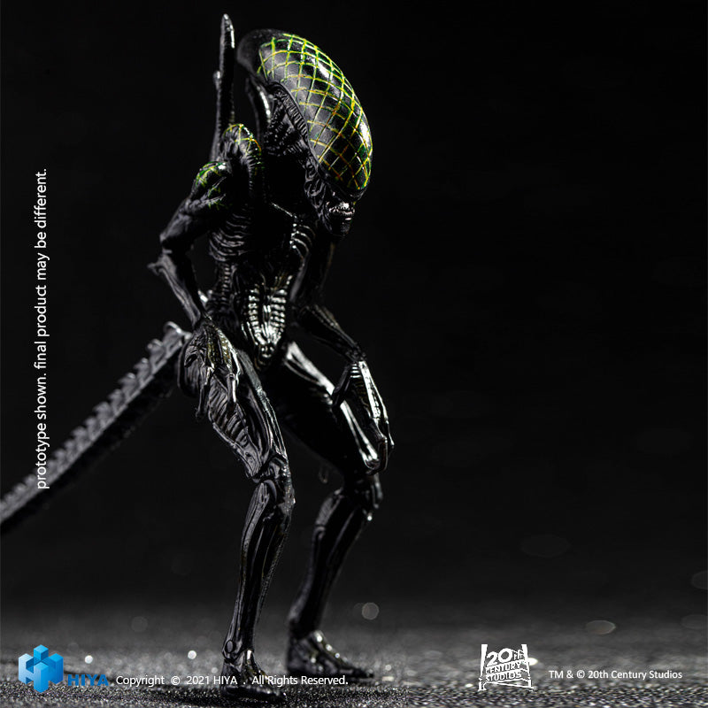 HIYA Exquisite Mini Series 1/18 Scale 5 Inch AVP Grid Alien Action Figure