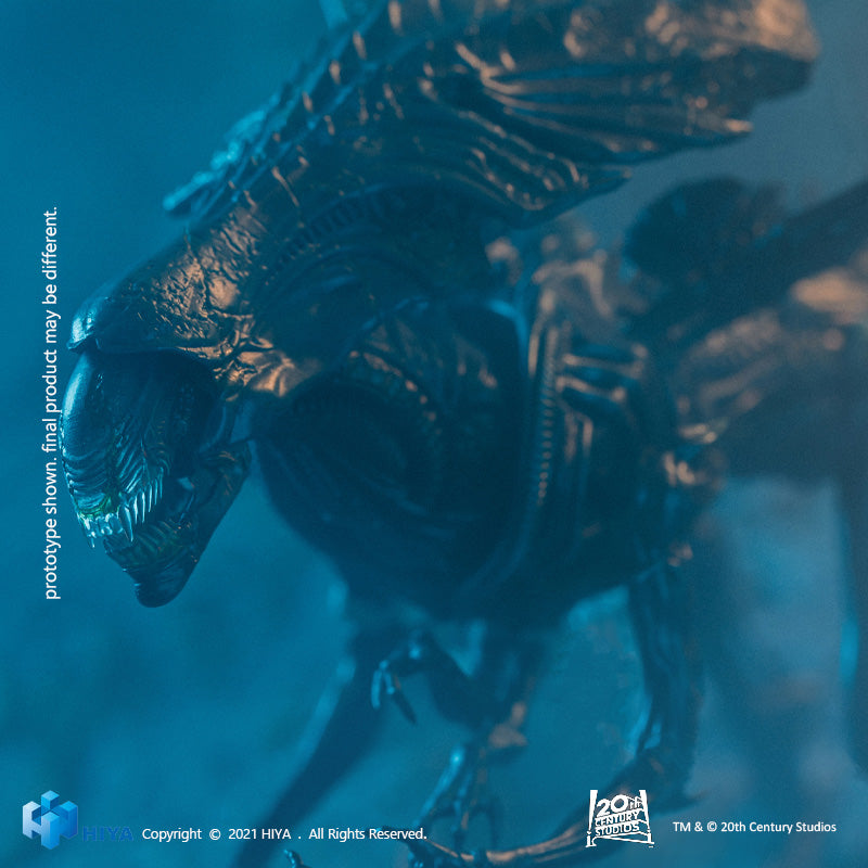 HIYA Exquisite Mini Series 1/18 Scale 5 Inch AVP Battle Damage Alien Queen Action Figure