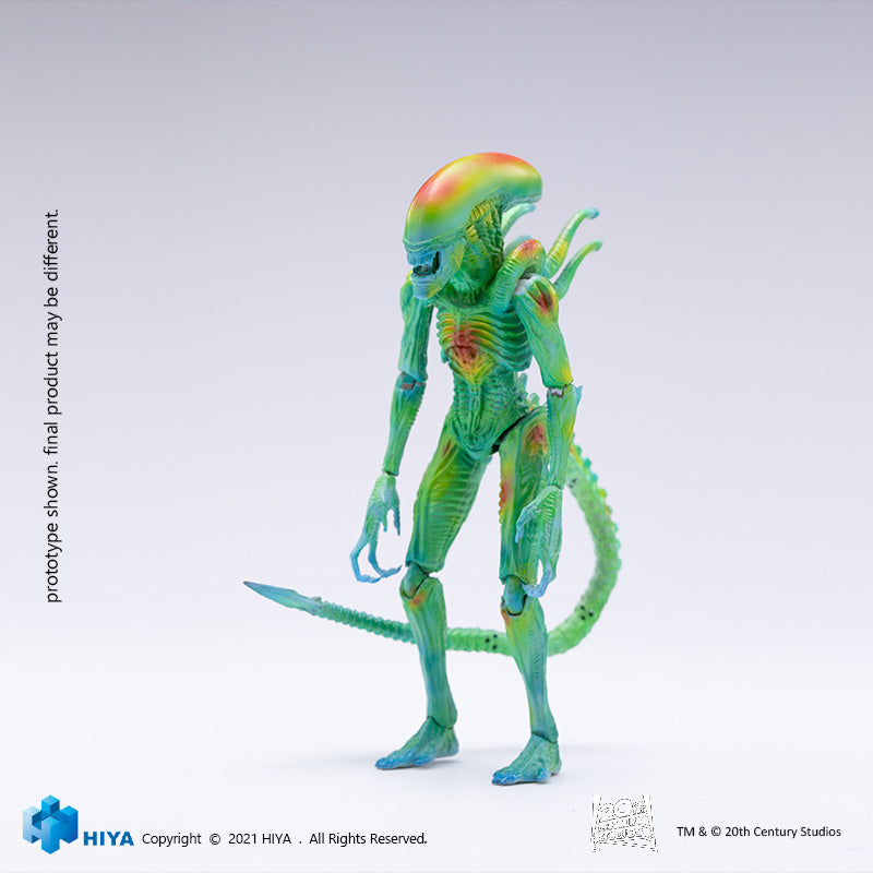 HIYA Exquisite Mini Series 1/18 Scale 5 Inch AVP Thermal Vision Alien Warrior Action Figure