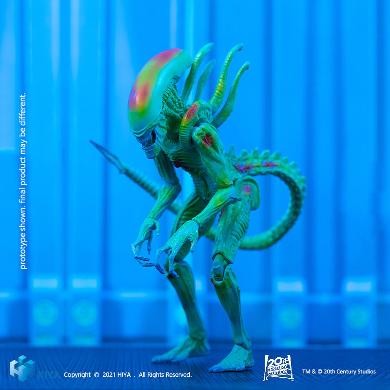 HIYA Exquisite Mini Series 1/18 Scale 5 Inch AVP Thermal Vision Alien Warrior Action Figure