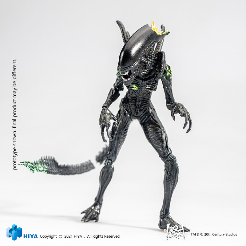 HIYA Exquisite Mini Series 1/18 Scale 5 Inch AVP Blowout Alien Warrior Action Figure
