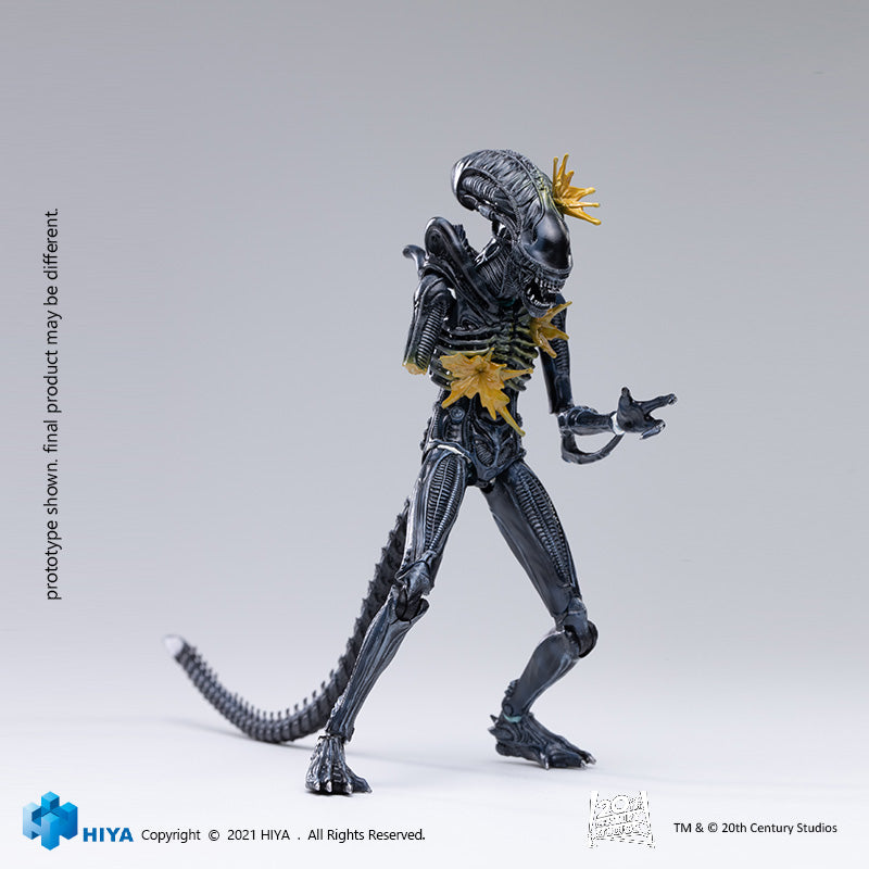 HIYA Exquisite Mini Series 1/18 Scale 5 Inch ALIENS Battle Damage Alien Warrior Action Figure