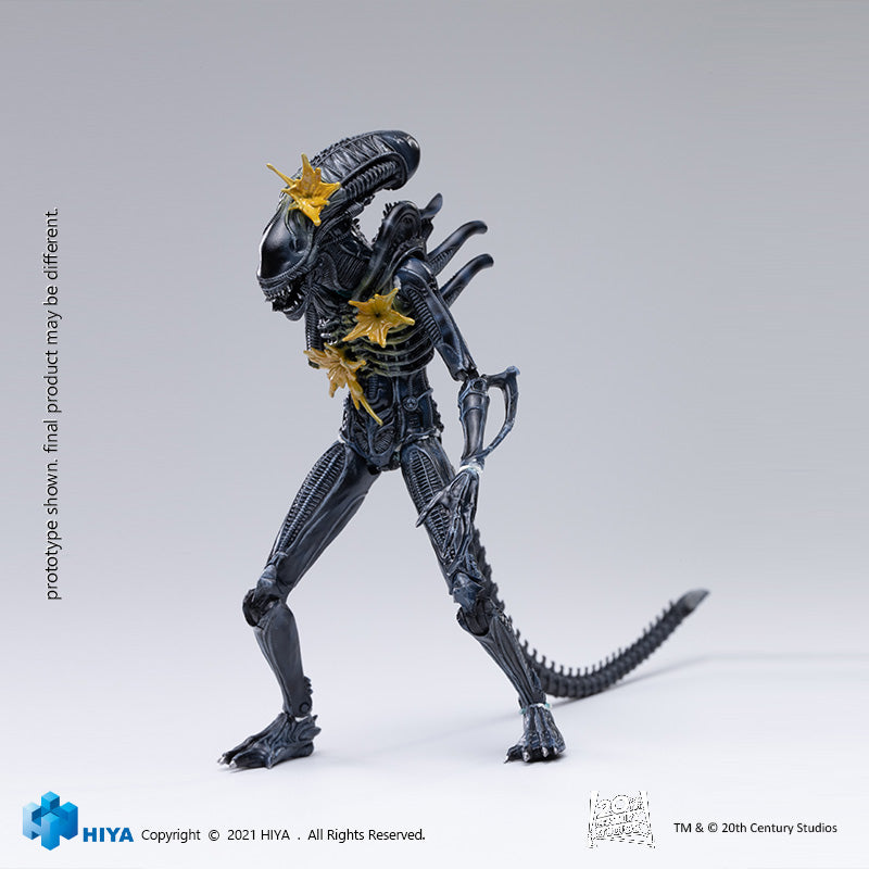 HIYA Exquisite Mini Series 1/18 Scale 5 Inch ALIENS Battle Damage Alien Warrior Action Figure