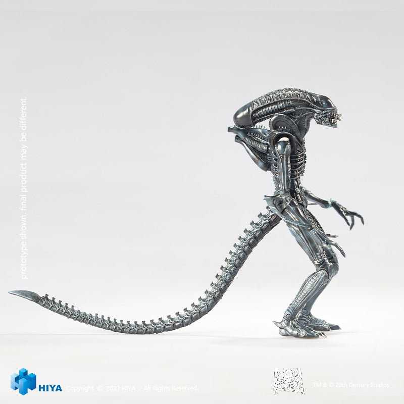 HIYA Exquisite Mini Series 1/18 Scale 5 Inch ALIENS Alien Warrior Blue Action Figure