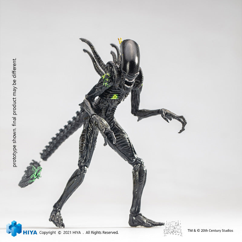 HIYA Exquisite Mini Series 1/18 Scale 5 Inch AVP Blowout Alien Warrior Action Figure