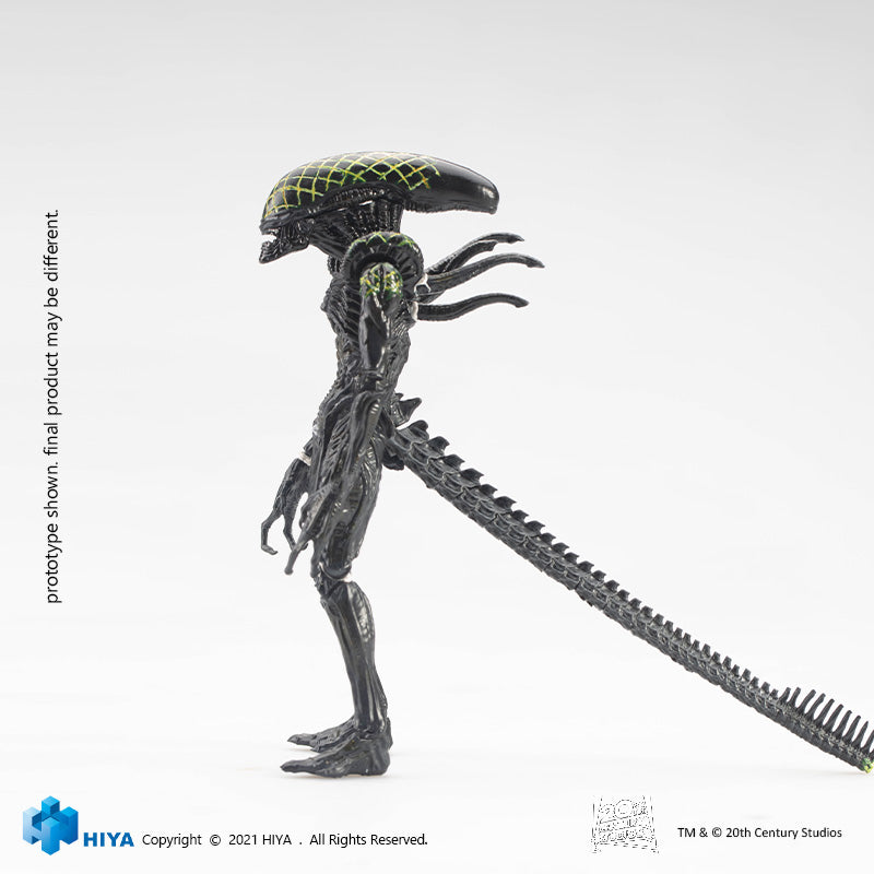 HIYA Exquisite Mini Series 1/18 Scale 5 Inch AVP Grid Alien Action Figure
