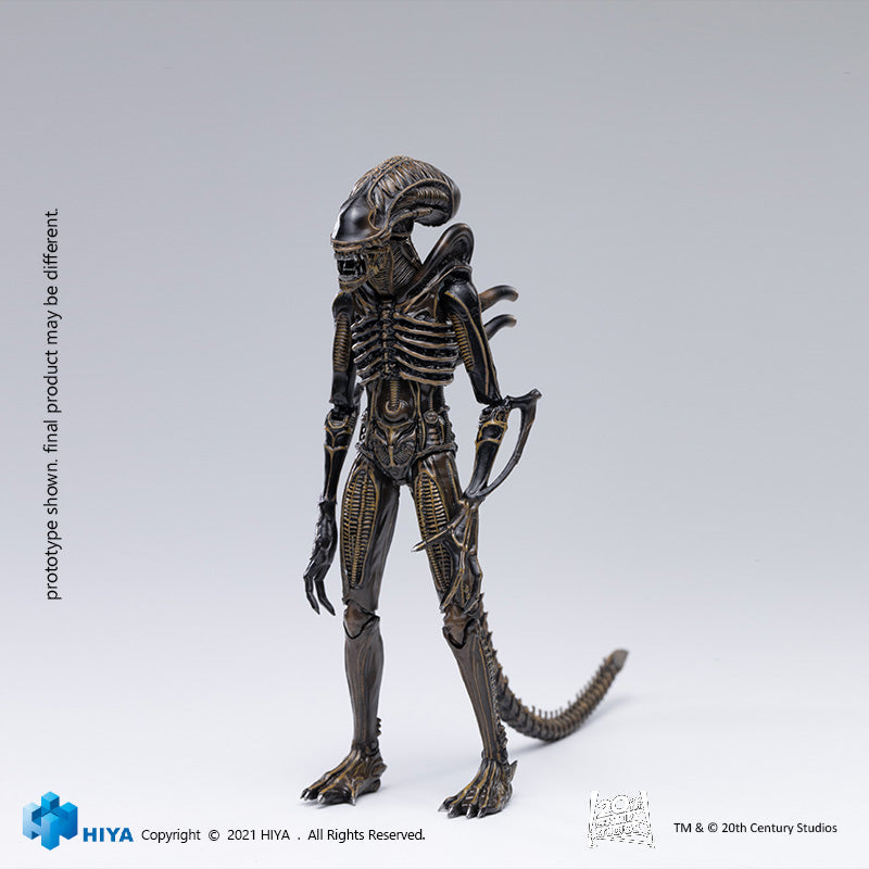 HIYA Exquisite Mini Series 1/18 Scale 5 Inch ALIENS Alien Warrior Brown Action Figure