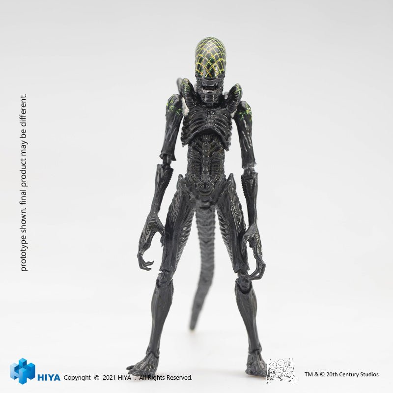 HIYA Exquisite Mini Series 1/18 Scale 5 Inch AVP Grid Alien Action Figure