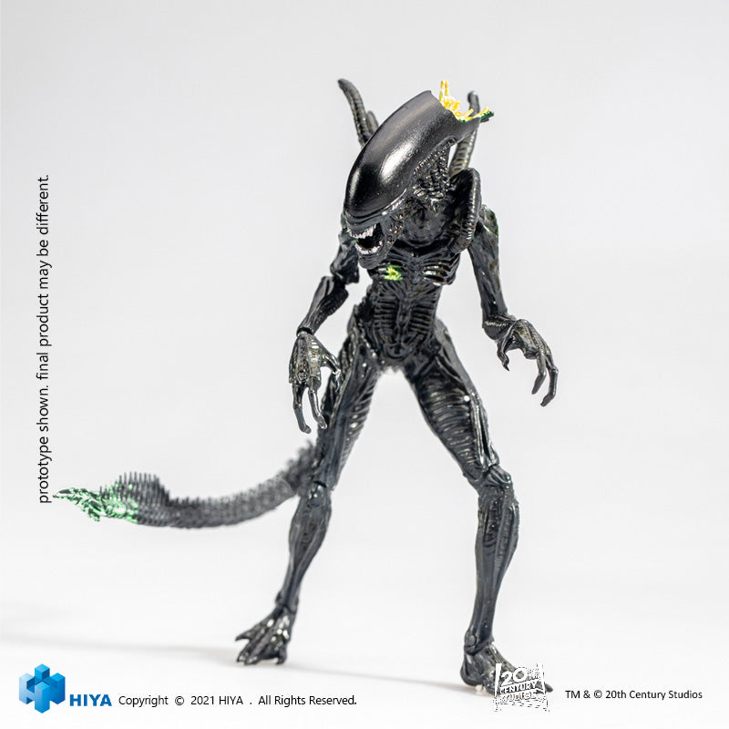 HIYA Exquisite Mini Series 1/18 Scale 5 Inch ALIENS Headshot Alien Warrior Action Figure
