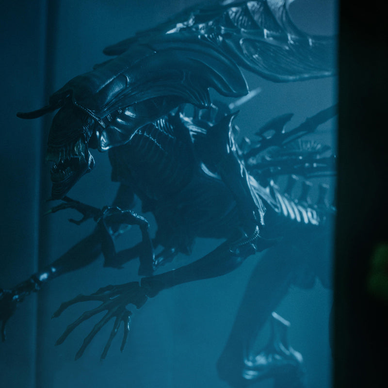 HIYA Exquisite Mini Series 1/18 Scale 5 Inch ALIENS Alien Queen Action Figure