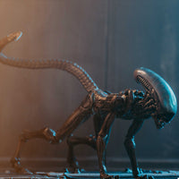 HIYA Exquisite Mini Series 1/18 Scale 5 Inch ALIEN³ Dog Alien Look Up Action Figure