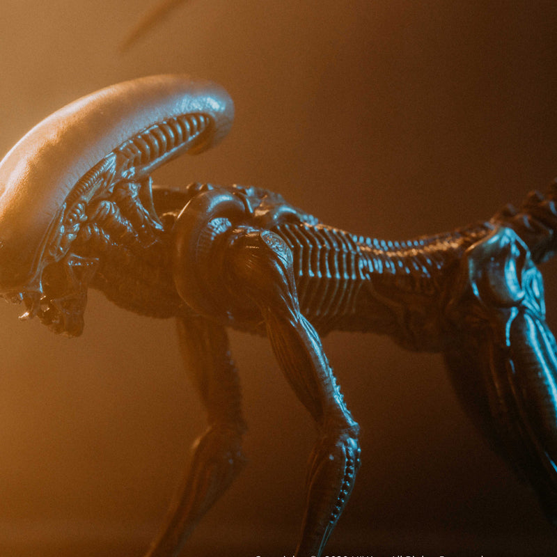 HIYA Exquisite Mini Series 1/18 Scale 5 Inch ALIEN³ Dog Alien Look Up Action Figure