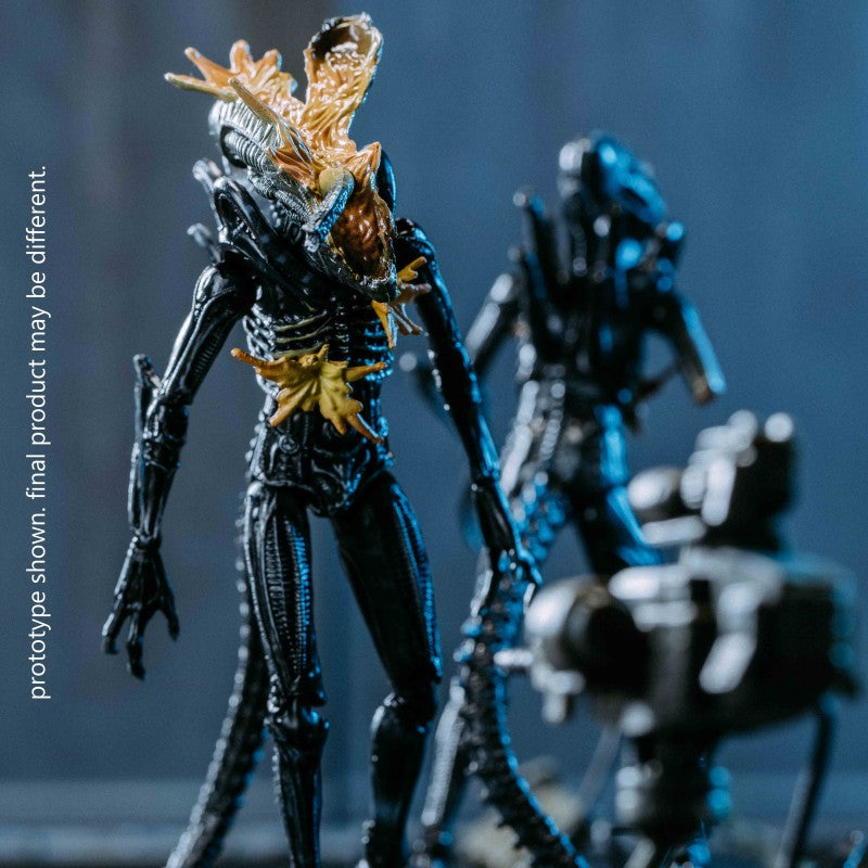 HIYA Exquisite Mini Series 1/18 Scale 5 Inch ALIENS Battle Damage Alien Warrior 2 Pack GameStop Exclusive Action Figure